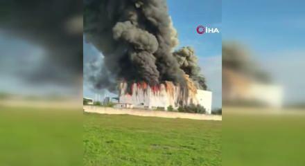 Antalya&rsquo;da patates tesisinde yangın: patlamalar paniğe neden oldu