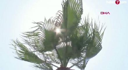 2026 İ&ccedil;in k&uuml;resel ısınma uyarısı yapıldı ve El Nino sıcaklıkları kapıda...