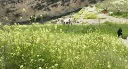  İki g&uuml;nd&uuml;r kayıp olan &ccedil;ocuk menfezde &ouml;l&uuml; bulundu