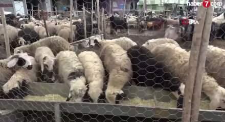 Kurban bayramı i&ccedil;in yeni d&uuml;zenleme: kesimler randevulu yapılacak