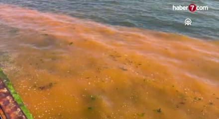 Tekirdağ'da planktonların &ccedil;oğalması sonucu denizin rengi yer yer değişti