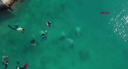 Temizlenen 'hayalet ağlar' ile 1,5 milyon deniz canlısı kurtarıldı