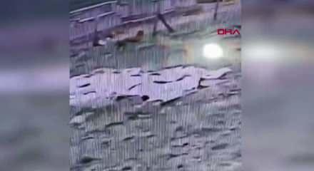 5 yaşındaki Hamza'nın k&ouml;pek saldırısına uğradığı anlar kamerada