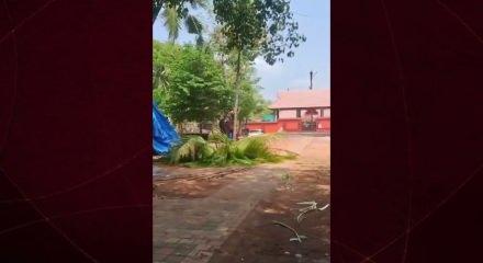 Hindistan'da kontrolden &ccedil;ıkan fil, s&uuml;r&uuml;c&uuml;s&uuml;n&uuml; ezip başında n&ouml;bet tuttu