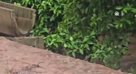 Adana'nın Kozan il&ccedil;esinde sağanak ve dolu etkili oldu