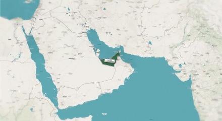 BAE&rsquo;nin OPEC kararı şok etkisi yarattı: Piyasalarda %13 gerileme