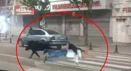 Batman'da şehir merkezine inen yaban domuzu &ouml;n&uuml;ne &ccedil;ıkan 3 kişiyi yaraladı