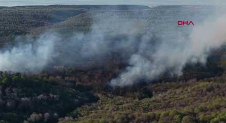  Beykoz'daki orman yangını 9 saatte kontrol alındı