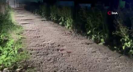 Bursa'da depoya kurşun yağmuru: Avukat hayatını kaybetti, kardeşi yaralandı