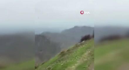 Şırnak'ta hayrete d&uuml;ş&uuml;ren g&ouml;r&uuml;nt&uuml;ler: Kartalın domuz avı saniye saniye kamerada