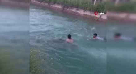 2 kadını kurtarmak i&ccedil;in canını hi&ccedil;e saydı