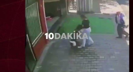 Masum yavrularımız k&ouml;peklere yem oluyor! İstanbul'da dehşete d&uuml;ş&uuml;ren anlar