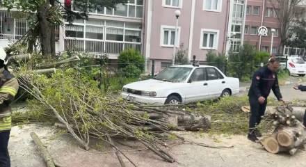 AFAD&rsquo;tan 51 ile sarı uyarı: 2 kişi hayatını kaybetti, 33 yaralı