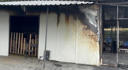 Ey&uuml;psultan'da adak kurban satış merkezinde &ccedil;ıkan yangında 1 kişi &ouml;ld&uuml;