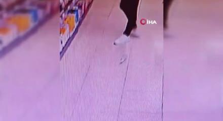 Papağanın alışveriş keyfi