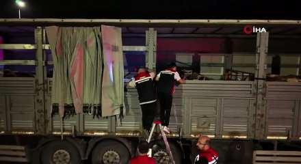 Kurbanlıklar İstanbul'a giriş yaptı: 81 ilden 60 bin kurbanlık getirildi