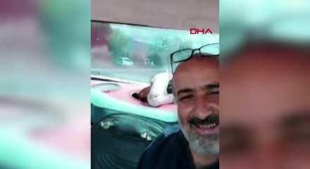 Bagajdaki kurbanlık koyunla g&uuml;l&uuml;mseten selfie yolculuğu