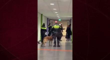 Barbar Avrupa yine sahnede: Filistinli hamile kadını yerden yere vurdular!
