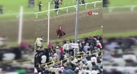 Japonya&rsquo;daki festivalde at faciası: Kalabalığın arasına daldı, 6 kişi yaralandı