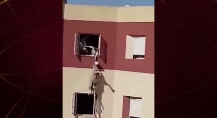 Kurbanlık koyun camdan atladı! O anlar kameraya yansıdı