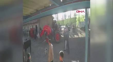  İpinden kurtulan boğanın etrafındakilere saldırısı kamerada
