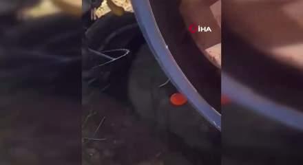 Siirt'te trakt&ouml;r&uuml;n altında kalan s&uuml;r&uuml;c&uuml; ağır yaralandı