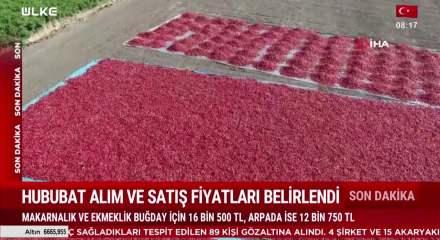 TMO 2026 yılı hububat alım ve satış fiyatlarını a&ccedil;ıkladı