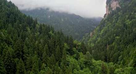Trabzon K&uuml;lt&uuml;r Yolu Festivali coşkusu başladı