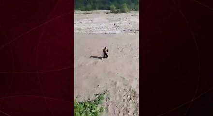 Azerbaycan'da kahramanlık destanı: Polis memuru k&uuml;&ccedil;&uuml;k &ccedil;ocuğu boğulmaktan kurtardı!
