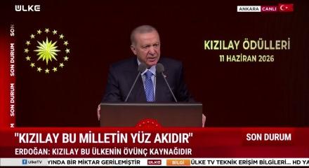 Cumhurbaşkanı Erdoğan: "Kan kokusu almış k&ouml;pek balığı misali..."