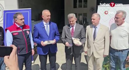 T&uuml;nelde &uuml;retilen istiridye mantarının ilk hasadı ger&ccedil;ekleştirildi