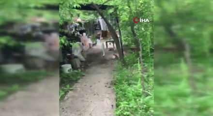 Ceviz bulamayınca kabı yere fırlattı: Sincap ile vatandaşın diyaloğu g&uuml;l&uuml;msetti
