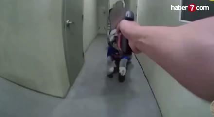 ABD Polisi &uuml;zerine saldıran k&ouml;peği vurdu! Olayın g&ouml;r&uuml;nt&uuml;leri yayınlandı