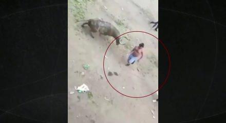 Boğanın boynuzladığı adam feci şekilde can verdi! Jet a&ccedil;ıklama: Y&uuml;zyıllık bir tarihin son yılı olacak