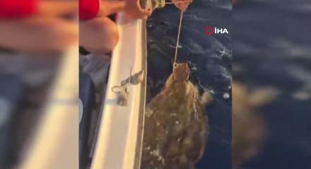 Deniz kaplumbağasının ayağına kaldırım taşı bağlayan vicdansızların yaptığı y&uuml;rekleri sızlattı