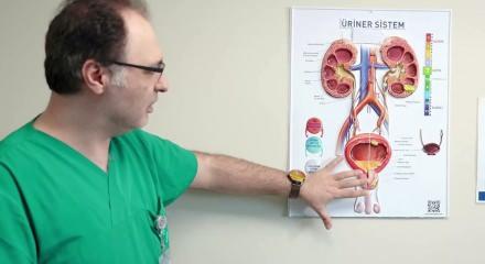 Uzman isim uyardı! İdrarda kan ve yan ağrıyı g&ouml;rmezden gelmeyin