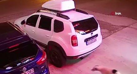 K&ouml;peğe &ccedil;arpmamak i&ccedil;in yaptığı manevra hayatına mal oldu