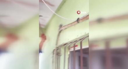 Yılanı yakalayıp yılanla konuştu: "Sevgili yılan, insanlardan uzak dur"