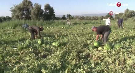 Bu karpuzu almak i&ccedil;in sıraya giriyorlar!