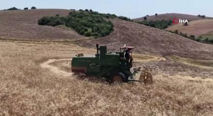 Karakıl&ccedil;ık buğdayı Kozan&rsquo;da yeniden yayılıyor