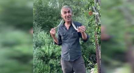 Zehirli engerek yılanını yakalayıp boynuna doladı: "Benim yaptığımı yapmayın"