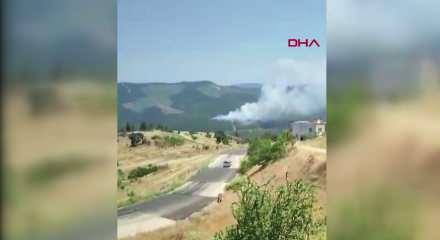 Bursa'da orman yangını