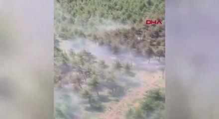Bursa'da orman yangını