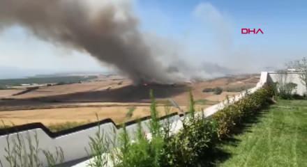 B&uuml;y&uuml;k&ccedil;ekmece'de buğday tarlasında yangın