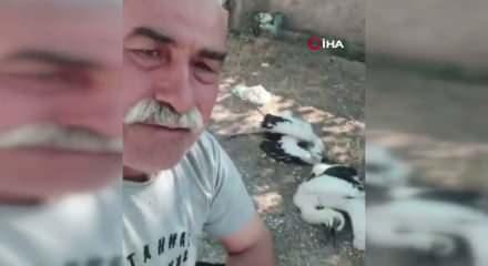 &Ccedil;ankırı'da bah&ccedil;esindeki leyleklerin &ouml;ld&uuml;ğ&uuml;n&uuml; g&ouml;ren adam g&ouml;zyaşlarını tutamadı