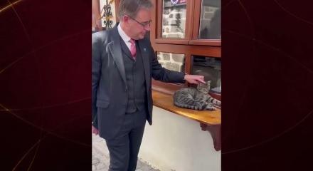 Bel&ccedil;ika Başbakanı De Wever'den g&uuml;l&uuml;mseten kedi paylaşımı: "Dost&ccedil;a bir T&uuml;rk kedisi"