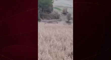 Domuz avında az daha av olacaklardı: Babasının yaşadığı dehşeti oğlu b&ouml;yle kaydetti