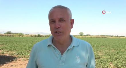 Karpuz &uuml;reticisinden isyan: "20 milyon lira zarar ettim"