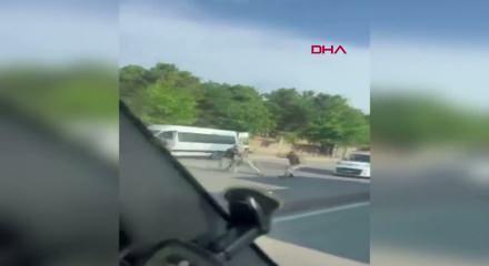 Kocaeli'de trafikteki sopalarla darba 4 tutuklama