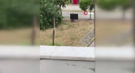 Kocaeli'de yeğen dehşeti: Tartıştığı amcasını palayla &ouml;ld&uuml;rd&uuml;!